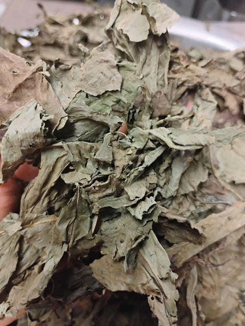 Scent Leaves/Efinrin/ Nchanwu (Dry)/100g